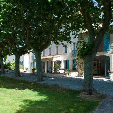 Domaine Le Trabet - Laurier